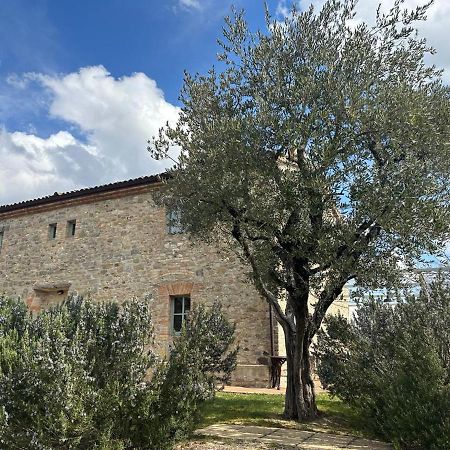 Borgo Cardaneto Bed and Breakfast Montone  Buitenkant foto