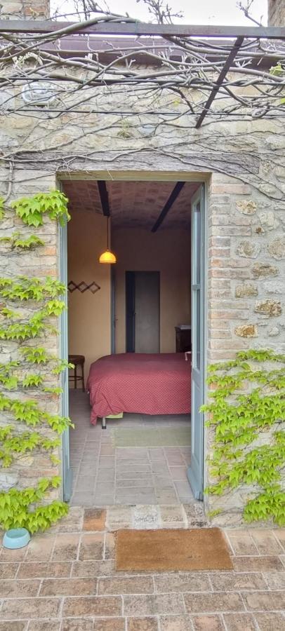 Borgo Cardaneto Bed and Breakfast Montone  Buitenkant foto