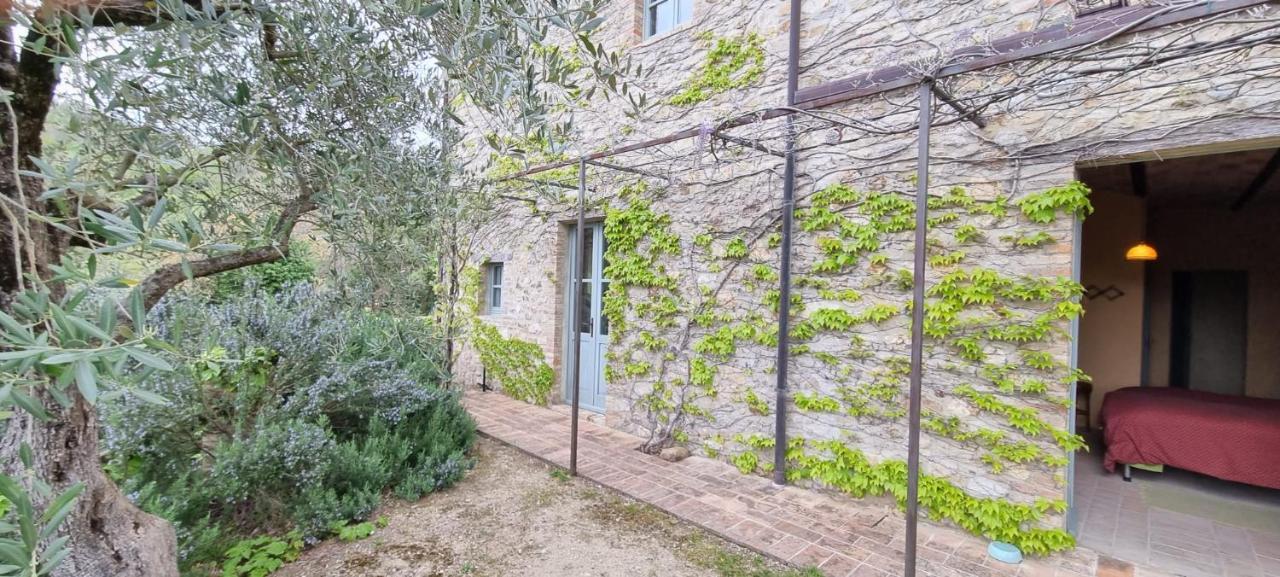 Borgo Cardaneto Bed and Breakfast Montone  Buitenkant foto