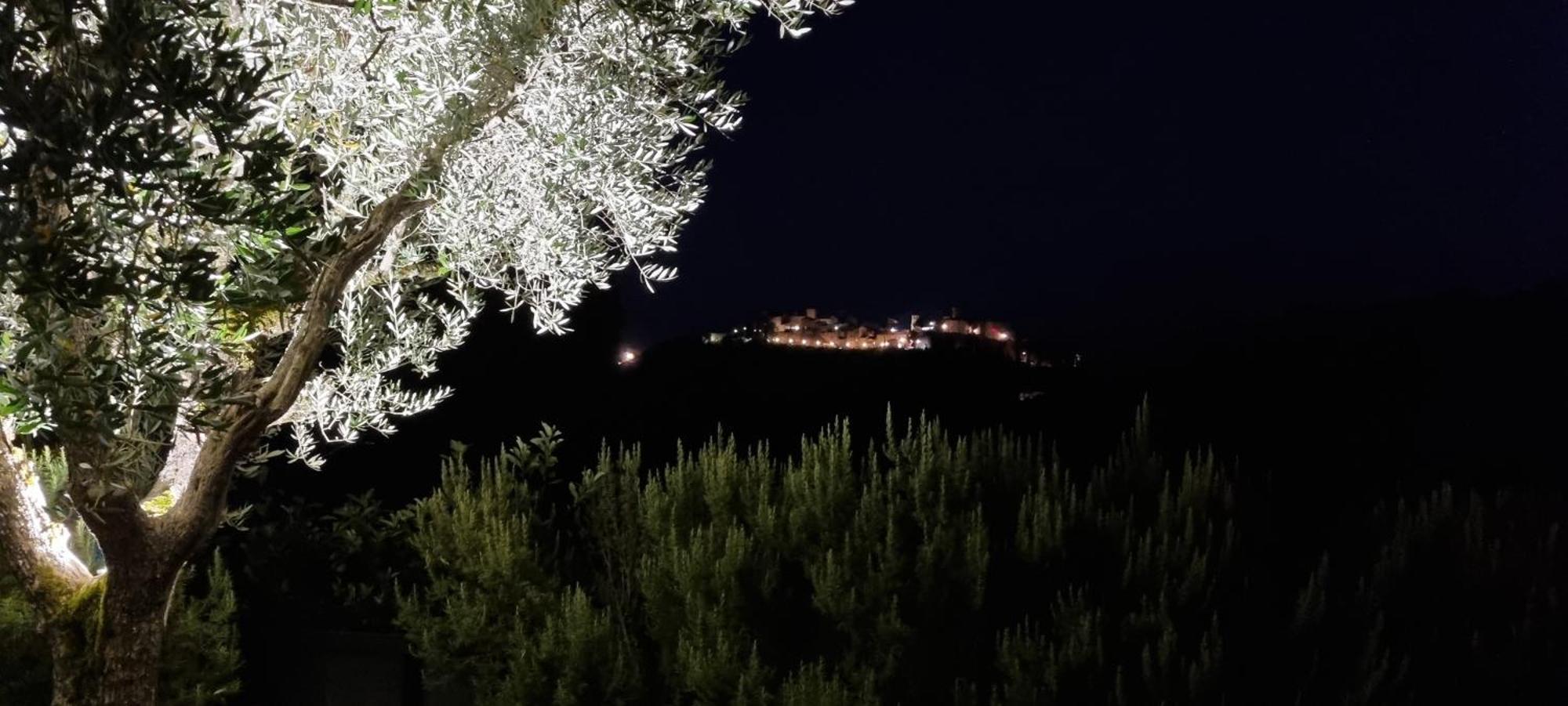 Borgo Cardaneto Bed and Breakfast Montone  Buitenkant foto
