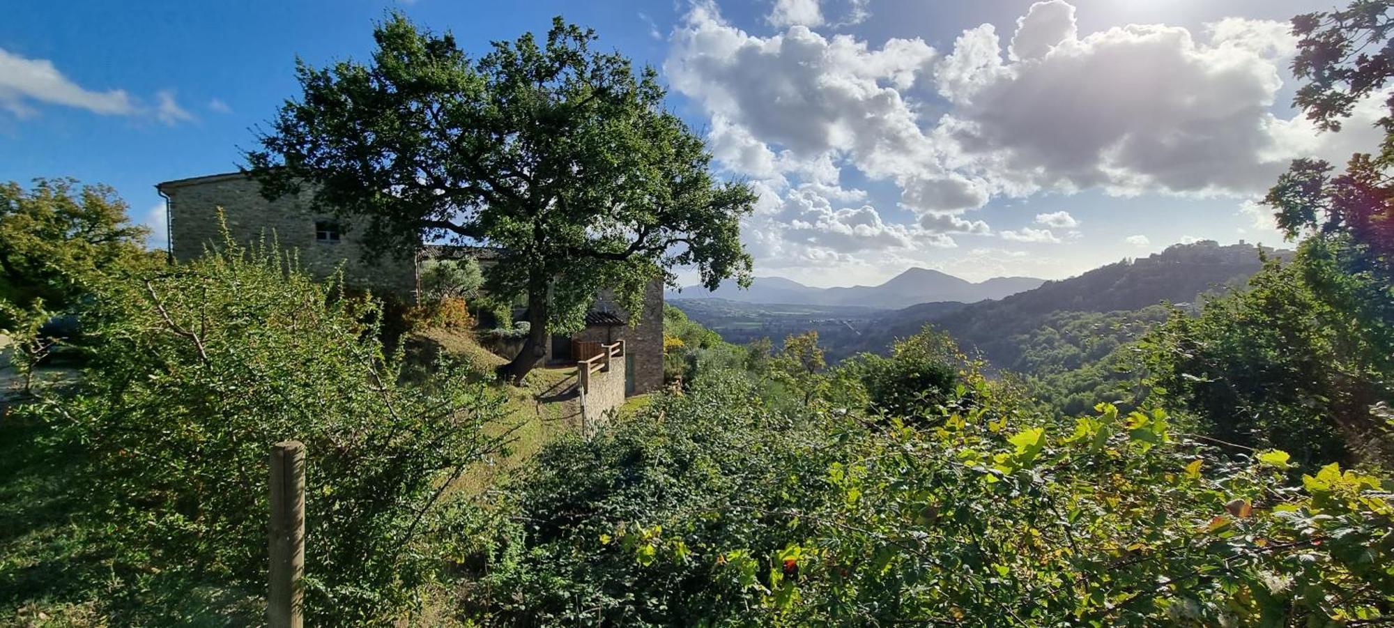 Borgo Cardaneto Bed and Breakfast Montone  Buitenkant foto